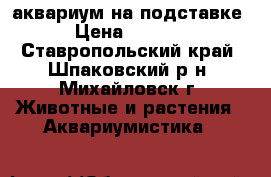 аквариум на подставке › Цена ­ 4 000 - Ставропольский край, Шпаковский р-н, Михайловск г. Животные и растения » Аквариумистика   